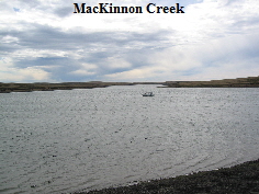 Mackinnon1